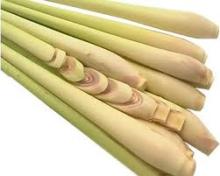  Fresh   Lemon   Grass , vegetable