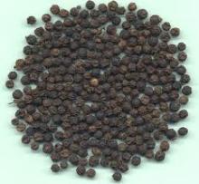 Black pepper, Dried Vegetable