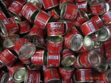 Salsa brand Tomato Paste 50X70g