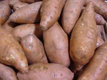 sweet potatoes