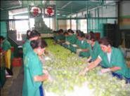 Sorting table
