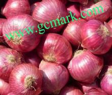 fresh red onion