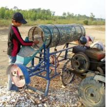 cassava peeling and chipping machine