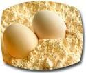 WHOLE  EGG  POWDER, EGG  POWDER, EGG  SHELL