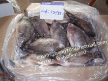 frozen black tilapia gutted and scaled