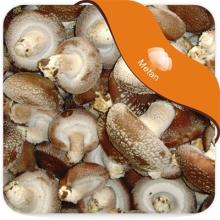  Fresh   shiitake   mushroom 