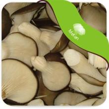 Oyster Mushroom