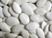 snow white pumpkin seeds