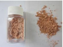 Broad Bean Paste Powder R5098(Savory flavor, in form of powder)