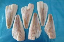 Red fish fillet Ocean Perch