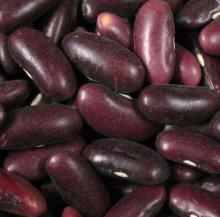 Red Kidney Bean