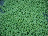 Frozen Oganic Soybean Kernel
