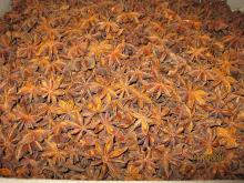 STAR ANISEED FROM VIETNAM GOOD QUALITY
