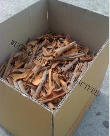 cassia broken