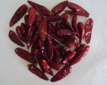 chilli