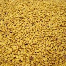  organic   flax  seed