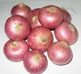 Red onion