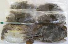  frozen   soft   shell   crab (seafood)