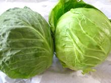 Chinese round cabbage002
