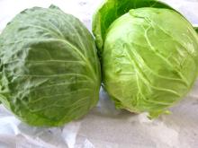 Chinese round cabbage003