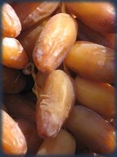 date branchette
