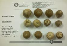 Whole white betel nuts, areca nut