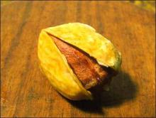 Pistachio kernels