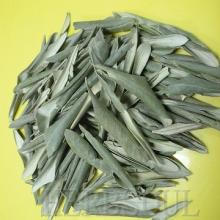 Water Soluble Olive Leaf Extract  Oleuropein   10 %, 20%, 40%,  60 %(GMP & Kosher)