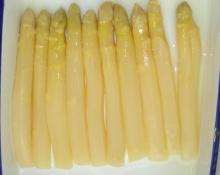 Canned white asparagus