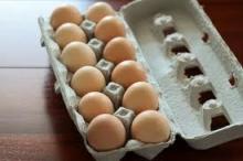 fresh eggs