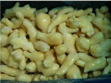 IQF Frozen peeled ginger new