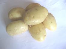Good quality potato