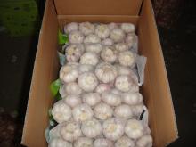  1kg   mesh   bag   garlic 
