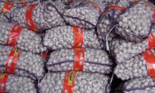  bulk   fresh   garlic 