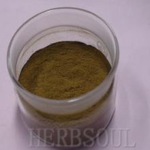 Olive Leaf P. E 10% 20% 40% 60%(GMP)