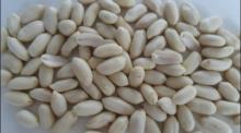 blanched peanut