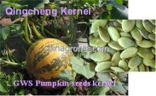 Grown without shell pumpkin seeds in grade A