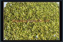 shine skin pumpkinseed kernels in grade A