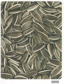 New sunflower seeds crop