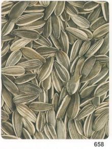 sunflower seeds crop