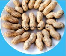 Chinese peanut