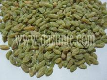 GREEN RAISIN (sun dried raisin)