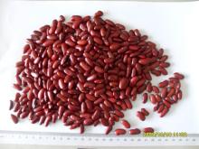 dark red kidney bean
