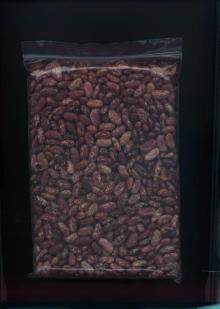  Red   Speckled   Kidney   Bean 