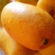 Sweet Mango