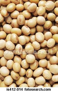 Soya Beans