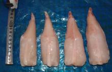 monkfish tail