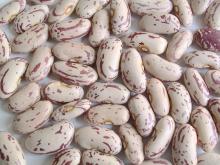 light specked kidney beans-long shape