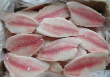 tilapia fillet-4