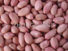 2010 New Crop Chinese Peanut kernels